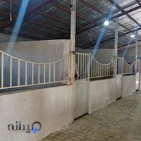 باشگاه سوارکاری و آکادمی چوگان پرهسر