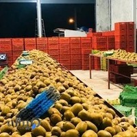 بازرگانی نولان(nolan trading)