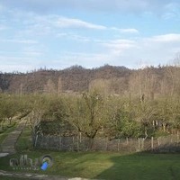 مرکز توانبخشی جسمی حرکتی نورا