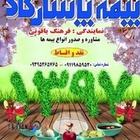 بیمه پاسارگاد نمایندگی فرهنگ یاقوتی