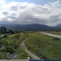 مشاور املاک سعید