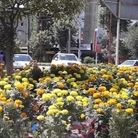 مصالح ساختمانی قدرتی