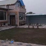 مهسا حاج فتحعلی