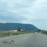 عکس و فیلم ساریا