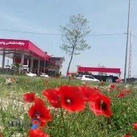 جایگاه سوخت پردیسان (حقیقی)