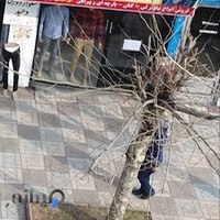 لباس فروشی مردانه وحید