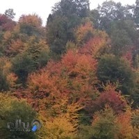 اقامتگاه بوم گردی پنووشpanovash