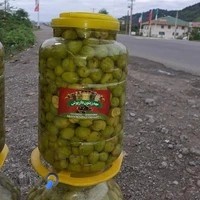 مهد زیتون داریوش