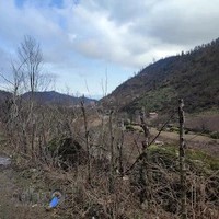 شرکت بازرگانی کیان تجارت چوبر چوب