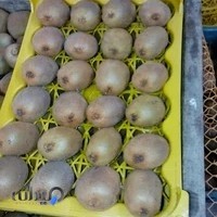 بازرگانی کیوی افشین امامی