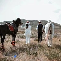 استودیو شاهکار