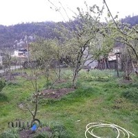 لوازم خانگی و آشپزخانه فردین بدری