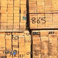 چوب بری و چوب فروشی محمد