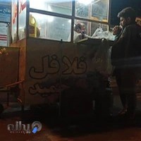 فلافلی عموحمید