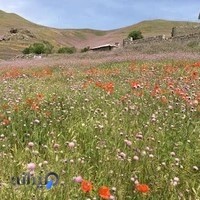 املاک و اجاره ویلای عدنان