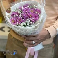 گلسرای حامد