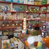 الکتریکی بامداد