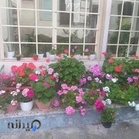 آموزشگاه رانندگی ارشد