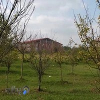 دانشگاه مهرآستان