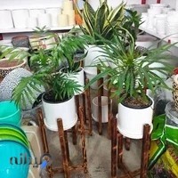 فروشگاه گل وگلدان امیر