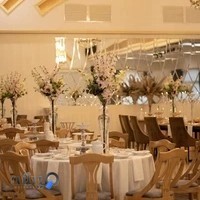 تالار میزبان