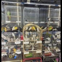 دهکده پرندگان