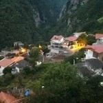 کلینیک دامپزشکی و پت شاپ مهر