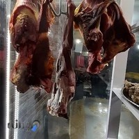 کته کبابی میثم