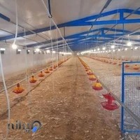 خرید و فروش کود مرغی