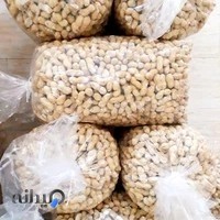 خشکبار کیان شعبه ۲