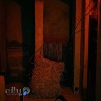 اتاق فرار نجوا