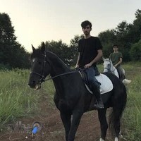 باشگاه سوارکاری سمند کوهساران قائمشهر