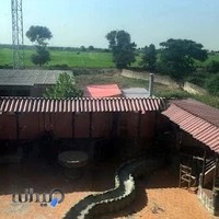 هتل میلاد نکا