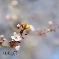 چاپ پژواک طبرستان