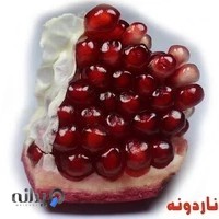 ناردونه نکا