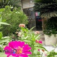 کانون ریاضی مازندران (شعبه نکا)