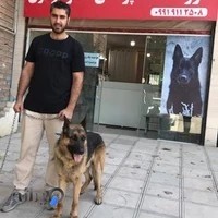 داروخانه دامپزشکی دکتر موسوی