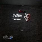 باشگاه کراسفیت آلفا