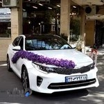 مطب دکتر نمازی فر