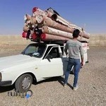 قالیشویی آذربایجان قزوین