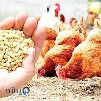 خوراک دام و طیور