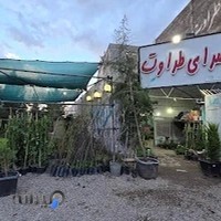 گلسرای طراوت