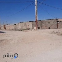 قالی شویی برسرامد