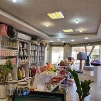 پت شاپ آروا