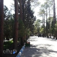 بیمارستان شفاک