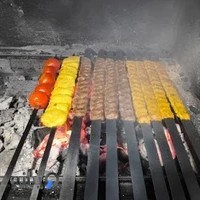 تهیه غذایی بهار نارنج