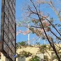 کلینیک دندانپزشکی هلال احمر