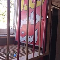 تهیه غذای دلفین