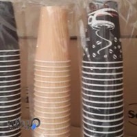 ظروف یکبار مصرف نیما