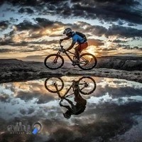 تعمیر دوچرخه علیرضا